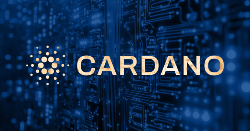 Cardano Foundation clarifies role and priorities amid ongoing ecosystem governance disputes